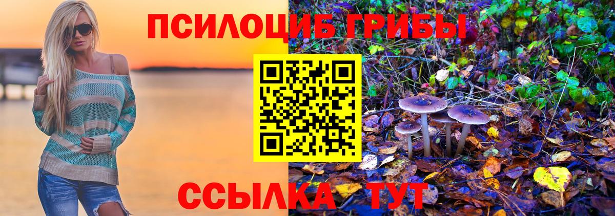 Псилоцибиновые грибы Magic Shrooms Городец