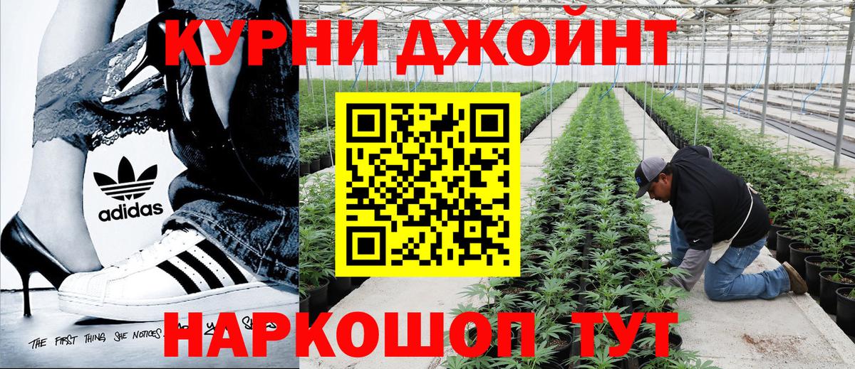 Канабис сатива  Шишки марихуана MAZAR  Городец  Вход с VPN 